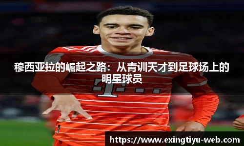 e星体育平台